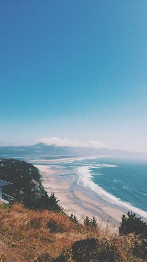 自己搭建蜘蛛池价格截图2