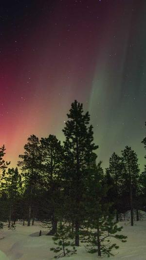 蜘蛛池出租代运营截图3