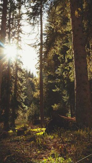 郴州市网站建设公司截图4