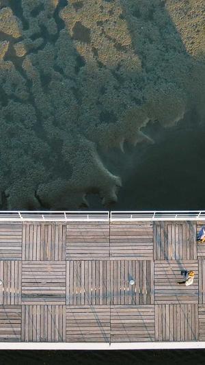 关于seo的工具截图1