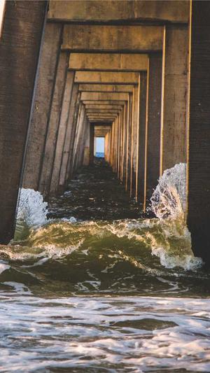 上海网站建设怎么弄截图5