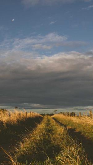 福州市网站建设截图3