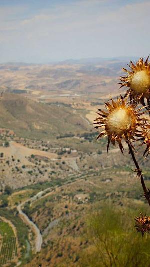 网站建设公司现状截图3