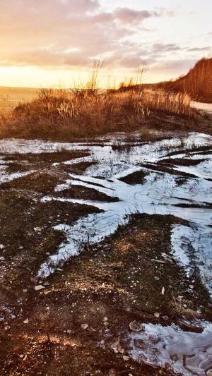 php泛目录站群截图2