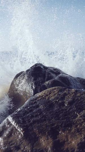 怎样联系蜘蛛池推广员截图5