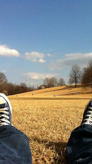 克隆站群泛目录截图5