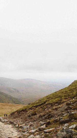 网站建设与管理截图3