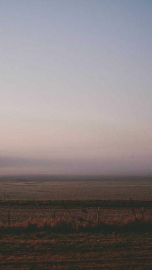 seo优化分析工具截图5