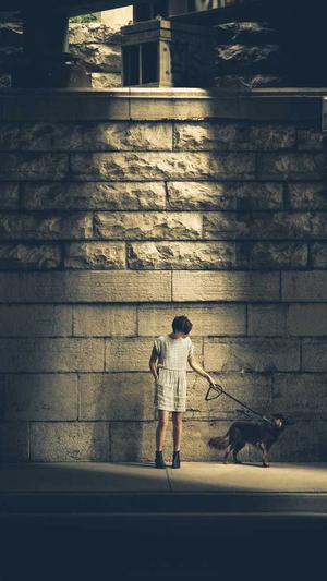 外贸网站模板外贸网站建设截图2