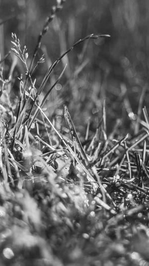 乌海网站建设截图2