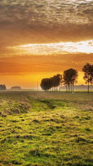 泉州seo排名工具截图5