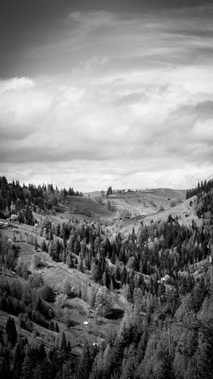 企业seo优化截图2