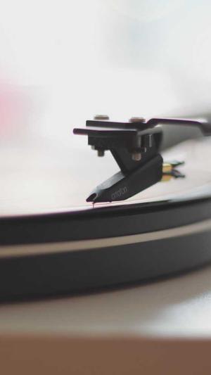 网站排名优化seo截图3