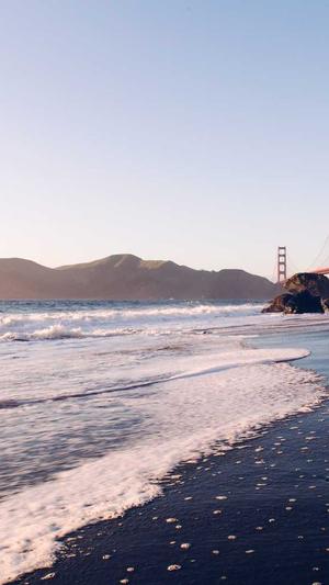 seo蜘蛛池快速收录推广截图3