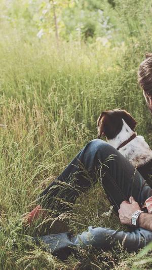 青岛外贸网站建设截图3