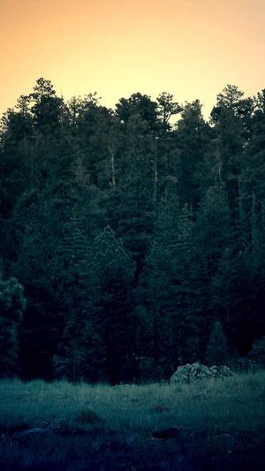 智能seo优化工具截图3