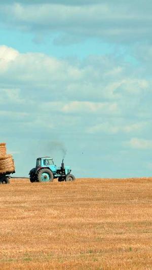 seo关键词排名工具截图2