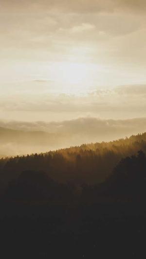 超能seo工具截图2