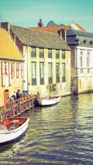 辽宁出租蜘蛛池电话截图3