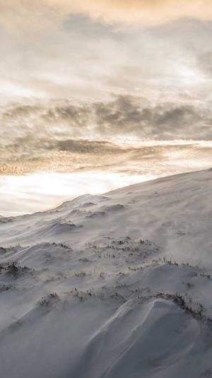 蜘蛛池手工制作视频截图3