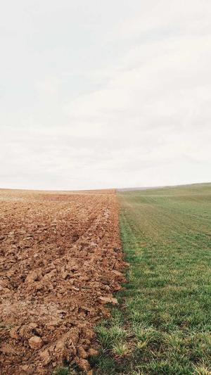 网站建设公司现状截图5