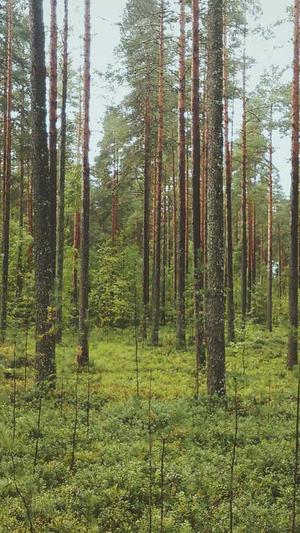 番禺网站建设截图4