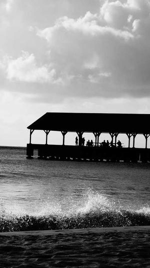 陕西 网站建设截图1