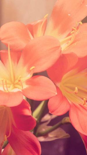 权重站泛目录截图2