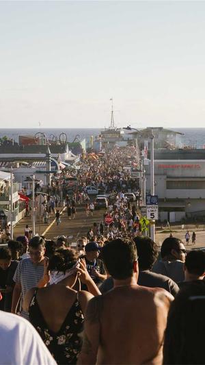 小旋风万能蜘蛛池x5截图5