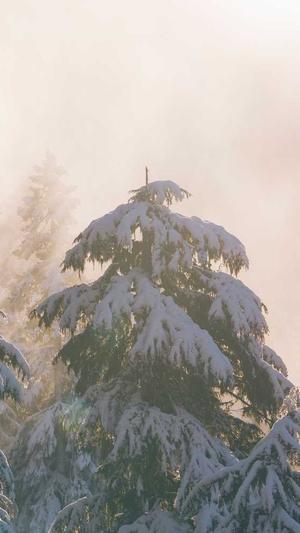 成都市建设网站截图1