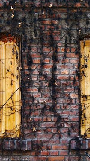 免费seo伪原创工具下载截图4