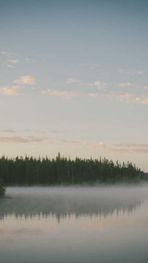 seo流量工具截图1