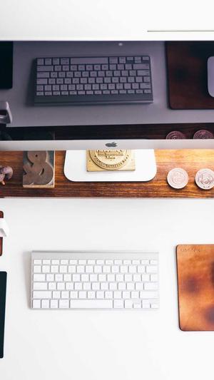 蜘蛛矿池注册无权限截图2