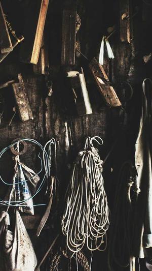 苏州网站建设公司截图3