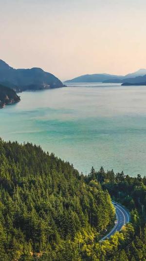 seo在线优化工具 sit截图4