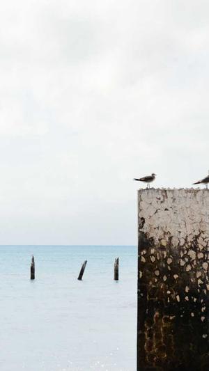 新乡网站建设截图4