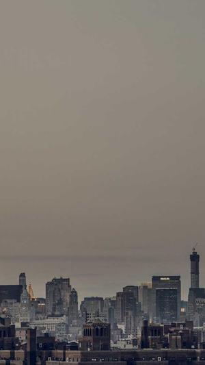 霸屏站群泛目录截图2