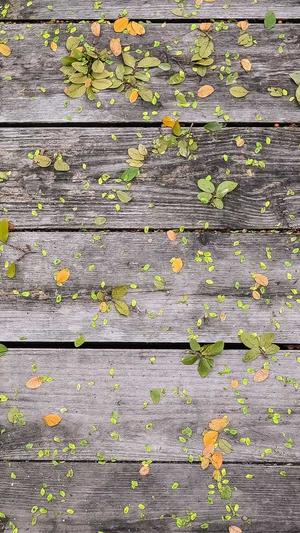 重庆seo快速优化软件截图4