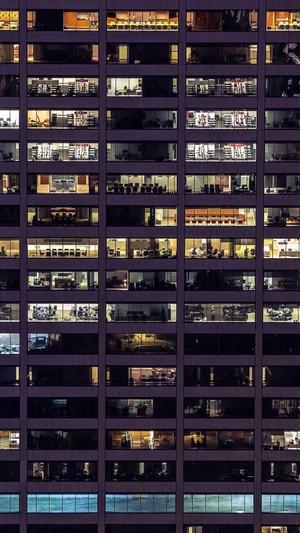 新站能用蜘蛛池吗截图2