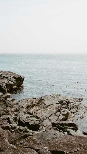 河南seo推广工具截图2