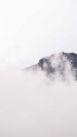 蜘蛛池能不能收录网站截图5