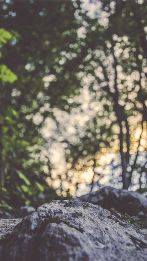 阿里蜘蛛池破解截图3