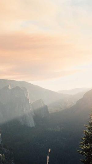 网站建设seo优化截图3