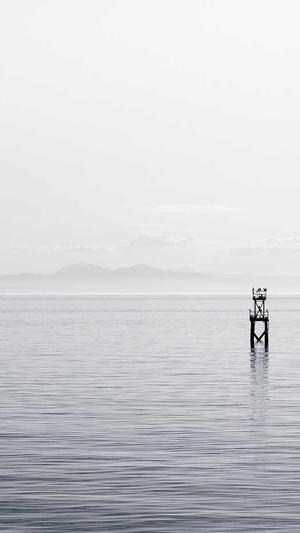 太原网站建设截图4