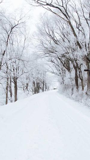 seo站长工具测试营销截图4