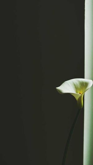 郴州市网站建设公司截图5