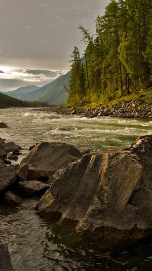 快速seo工具截图3