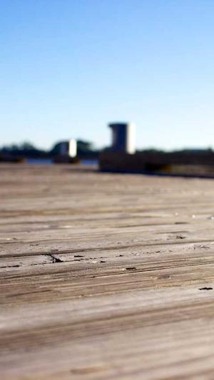 霸屏站群泛目录截图4