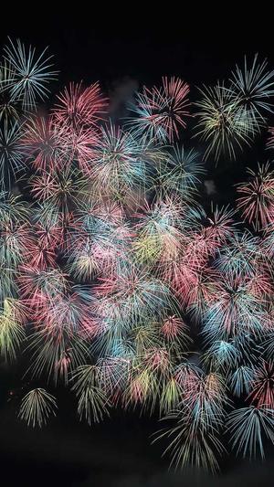 seo短视频网页入口引流截图1