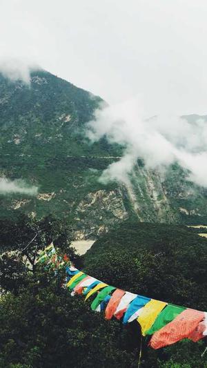 蜘蛛池出租价格合理截图3